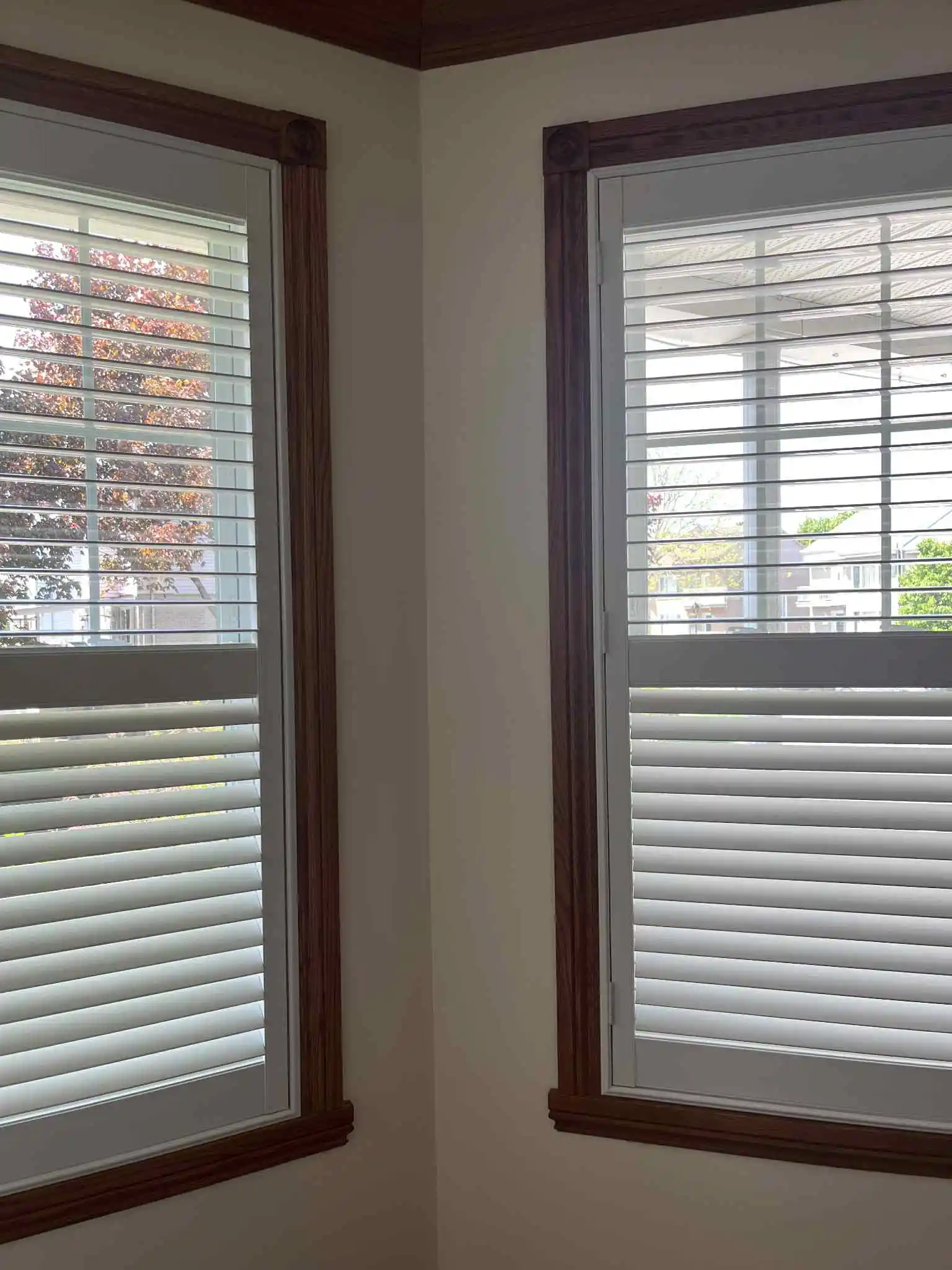 Alternative Blinds Experience